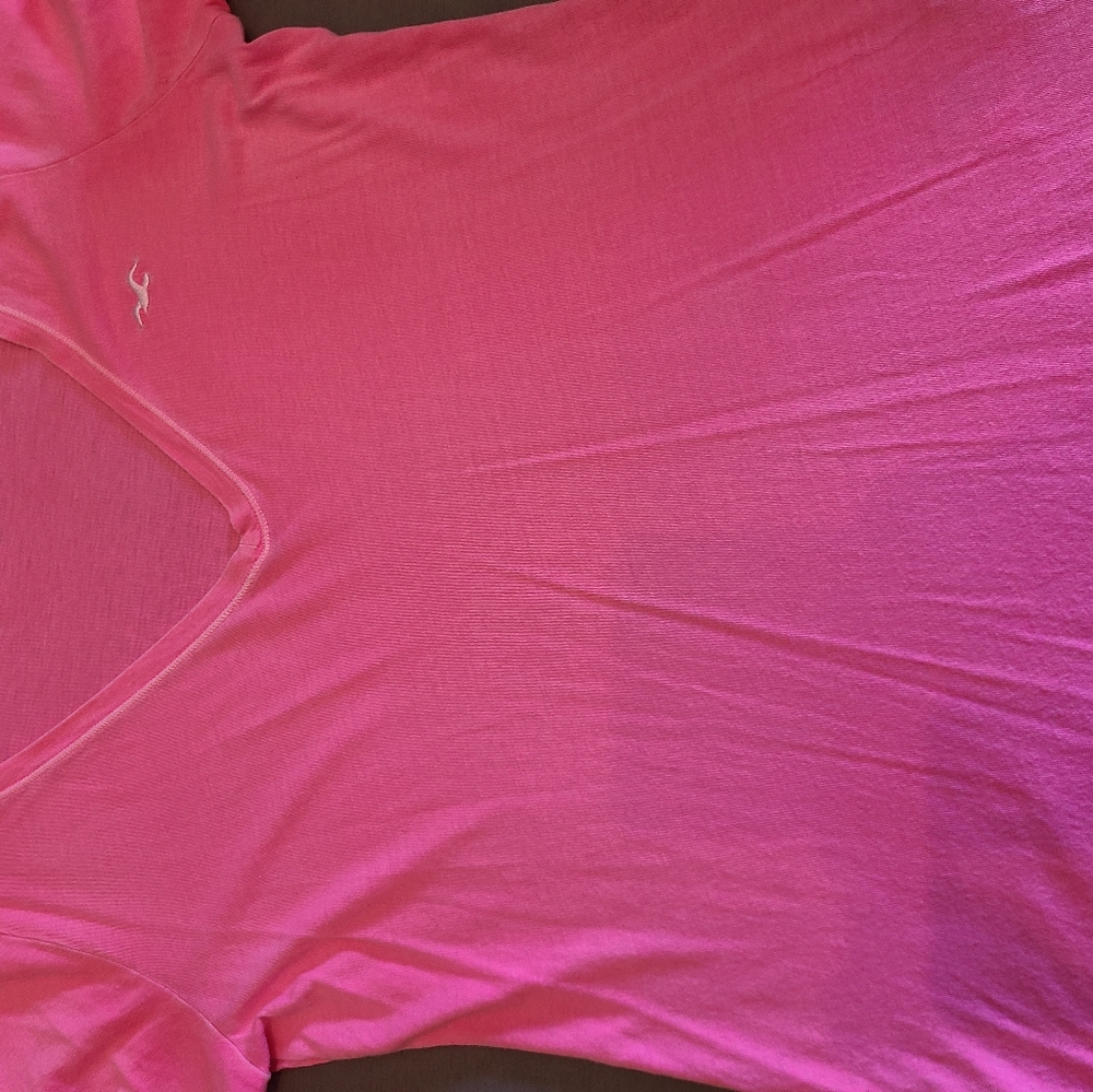 Womens Hollister v neck shirt